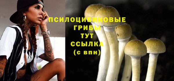 экстази Козловка