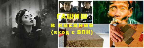 сатива Козельск