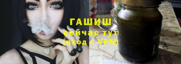 сатива Козельск