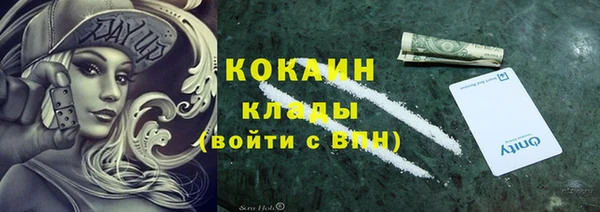сатива Козельск